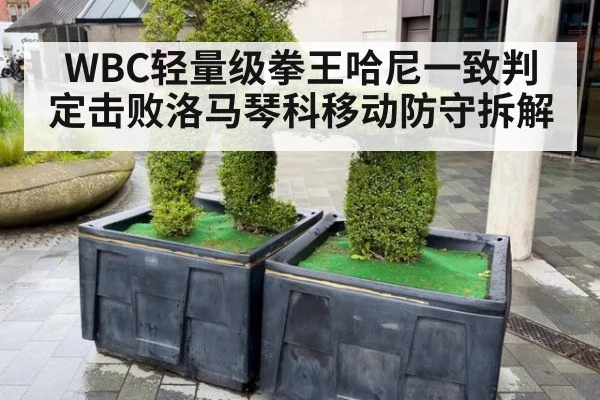 WBC轻量级拳王哈尼一致判定击败洛马琴科移动防守拆解 - nine game