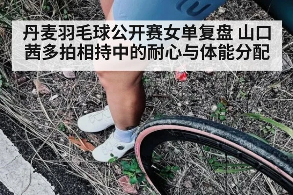 丹麦羽毛球公开赛女单复盘 山口茜多拍相持中的耐心与体能分配 - nine game